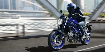 Uitbreiding kleurengamma Suzuki SV650