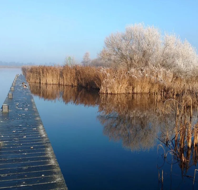 Varen met<br/>*kou en vorst*: <br/> 10 tips op een rij