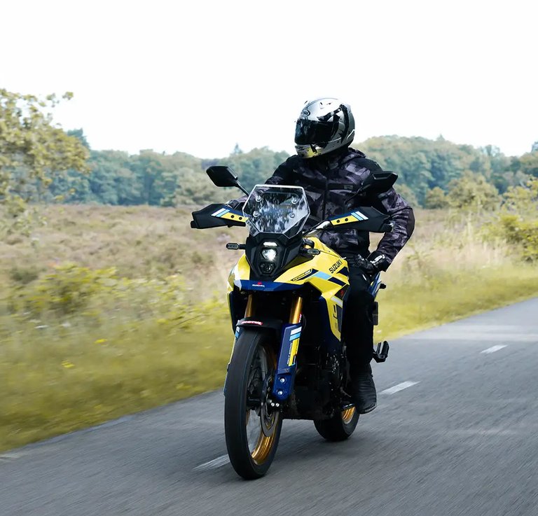 Suzuki <br/>*V-Strom 800DE #Rally Edition*#